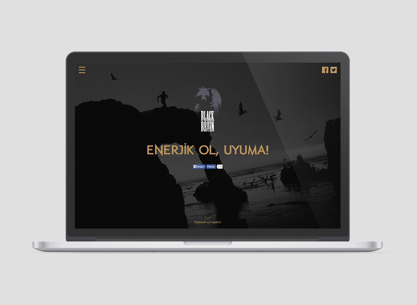 Black Bruin, Niffob, reklam ajansı, dijital ajans, Gürkan Bayındır, Energy Drink, Enerji içeceği, Advertising<br>Social Media<br>Digital Design<br>Package Design<br>...